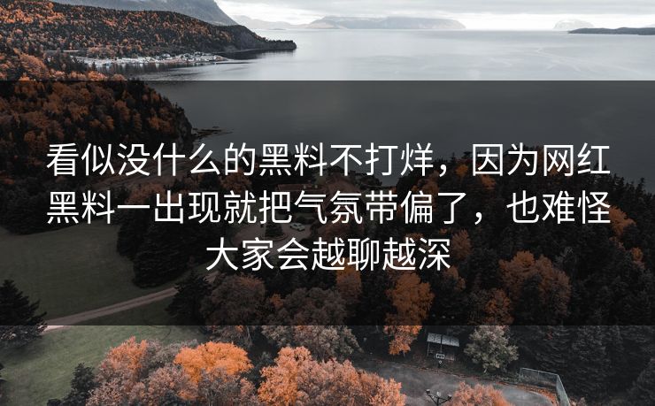 看似没什么的黑料不打烊，因为网红黑料一出现就把气氛带偏了，也难怪大家会越聊越深