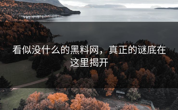 看似没什么的黑料网，真正的谜底在这里揭开