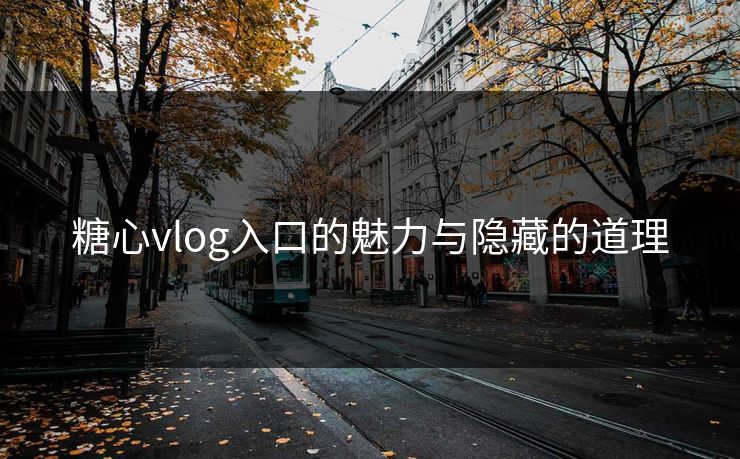 糖心vlog入口的魅力与隐藏的道理