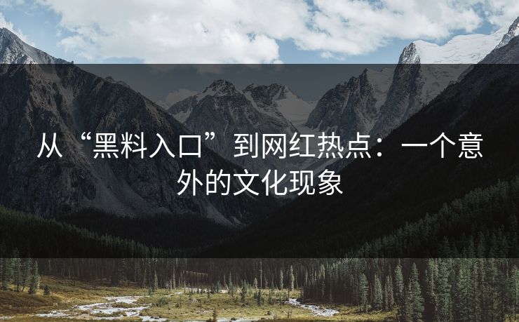 从“黑料入口”到网红热点：一个意外的文化现象
