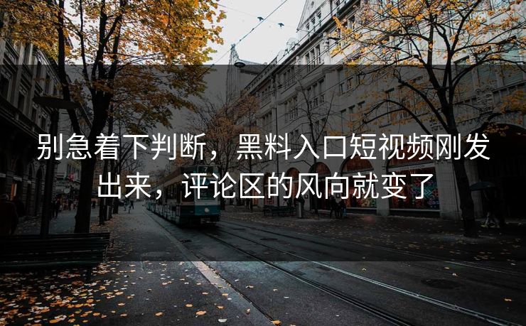 别急着下判断，黑料入口短视频刚发出来，评论区的风向就变了