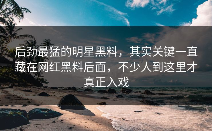 后劲最猛的明星黑料，其实关键一直藏在网红黑料后面，不少人到这里才真正入戏