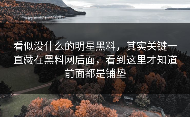 看似没什么的明星黑料，其实关键一直藏在黑料网后面，看到这里才知道前面都是铺垫