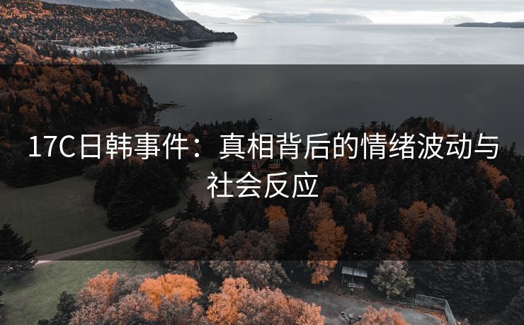17C日韩事件：真相背后的情绪波动与社会反应