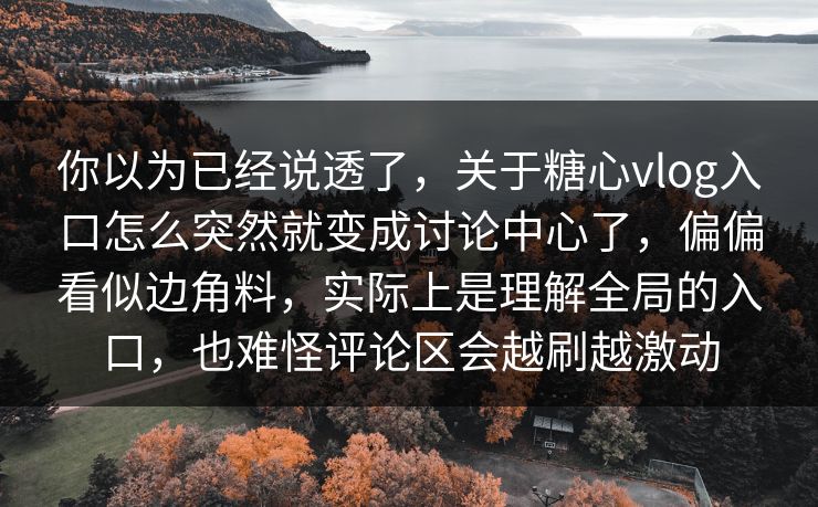 你以为已经说透了，关于糖心vlog入口怎么突然就变成讨论中心了，偏偏看似边角料，实际上是理解全局的入口，也难怪评论区会越刷越激动