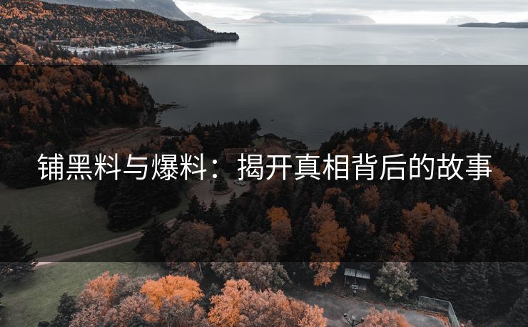 铺黑料与爆料：揭开真相背后的故事