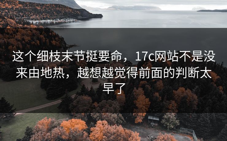 这个细枝末节挺要命，<strong>17C</strong>网站不是没来由地热，越想越觉得前面的判断太早了