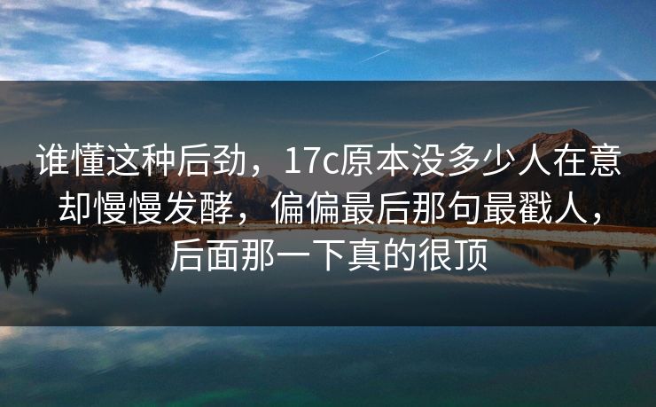 谁懂这种后劲，<strong>17C</strong>原本没多少人在意却慢慢发酵，偏偏最后那句最戳人，后面那一下真的很顶